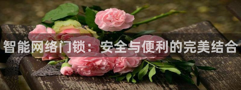 金年会金字招牌诚信至上：智能网络门锁：安全与便利的完美结合