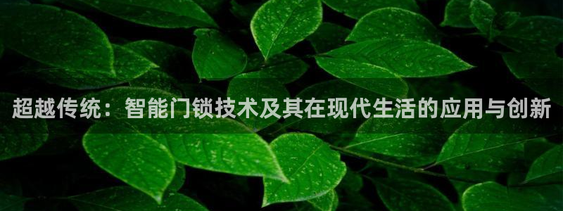 金帆年会2017：超越传统：智能门锁技术及其在现代生活的应用