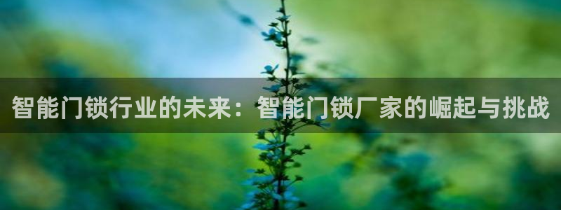 金年会和万博：智能门锁行业的未来：智能门锁厂家的崛起与挑战