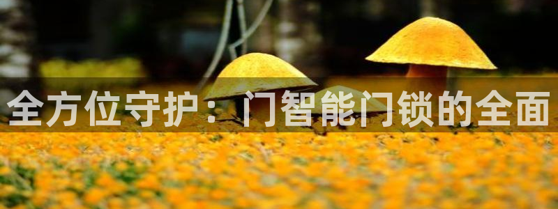 金年会品牌：全方位守护：门智能门锁的全面