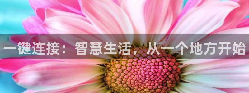 世纪金源年会