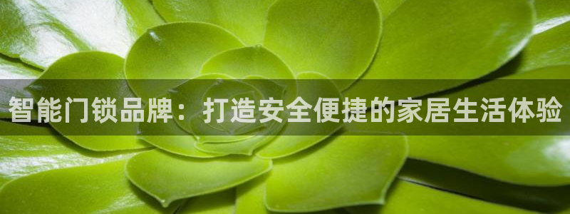 金年会APP下载