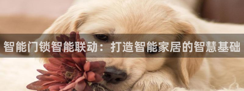 金年会入口网站