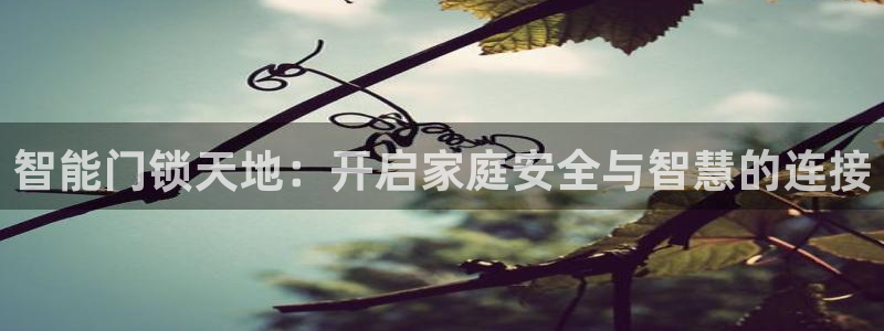 金年会不给提现