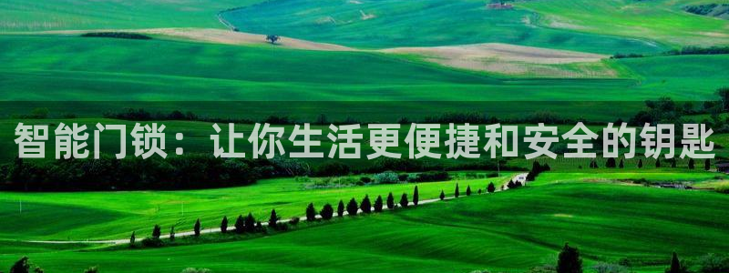 金年会原名：智能门锁：让你生活更便捷和安全的钥匙