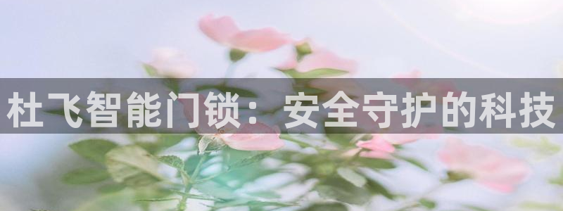 金年会中国金年会登录：杜飞智能门锁：安全守护的科技