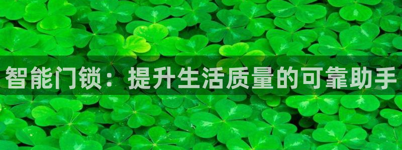 年会金句心得：智能门锁：提升生活质量的可靠助手
