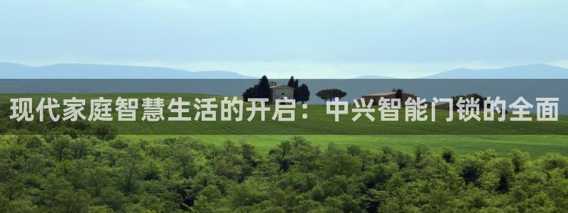 金年会体育平台官网：现代家庭智慧生活的开启：中兴智能门锁的全