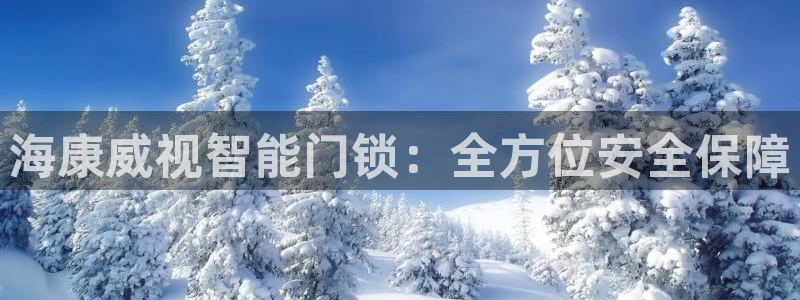 金年会平台是真的吗：海康威视智能门锁：全方位安全保障