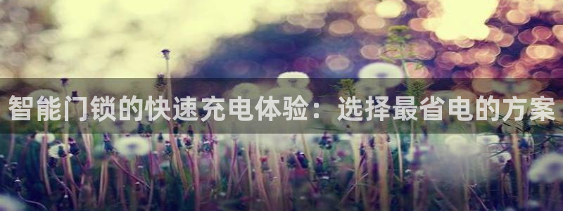 金年会推荐：智能门锁的快速充电体验：选择最省电的方案