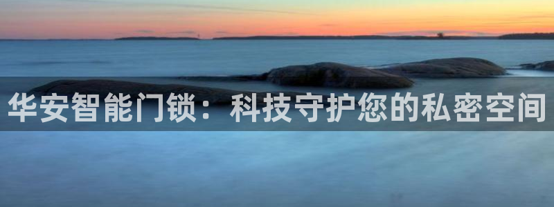 金年会电子游戏app