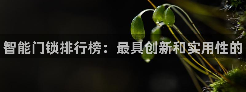 2022金年会：智能门锁排行榜：最具创新和实用性的