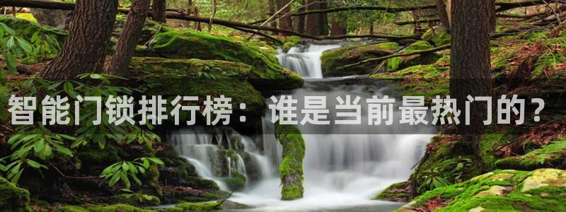 金 金年会：智能门锁排行榜：谁是当前最热门的？