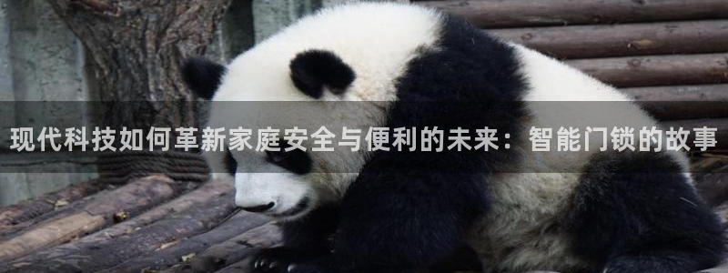 金年会app：现代科技如何革新家庭安全与便利的未来：智能门锁