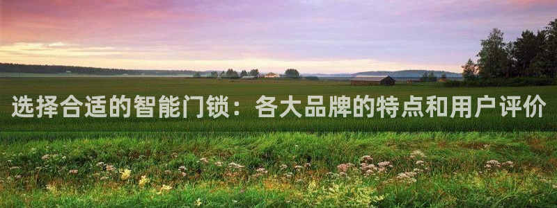 金年会代理：选择合适的智能门锁：各大品牌的特点和用户评价