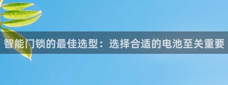 金年会体育娱乐：智能门锁的最佳选型：选择合适的电池至关重要