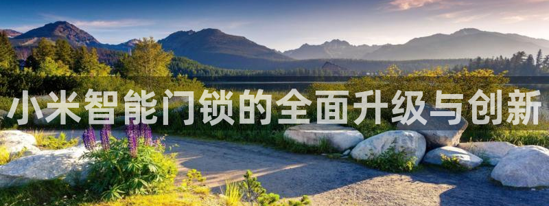 金年会体育在线入口：小米智能门锁的全面升级与创新