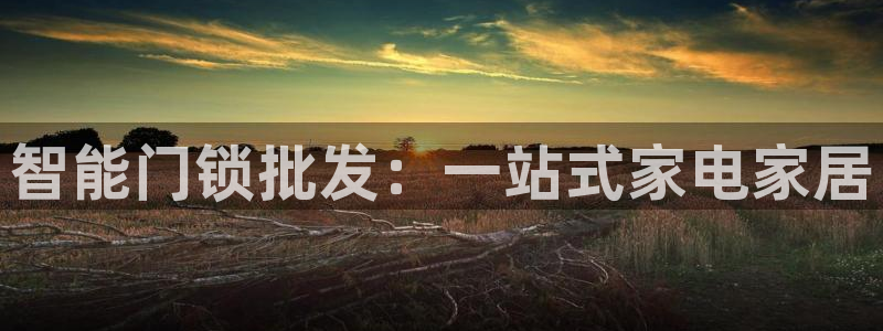 金年会体育官方下载：智能门锁批发：一站式家电家居