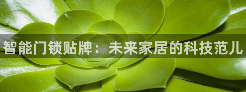 金年会金字招牌下载：智能门锁贴牌：未来家居的科技范儿