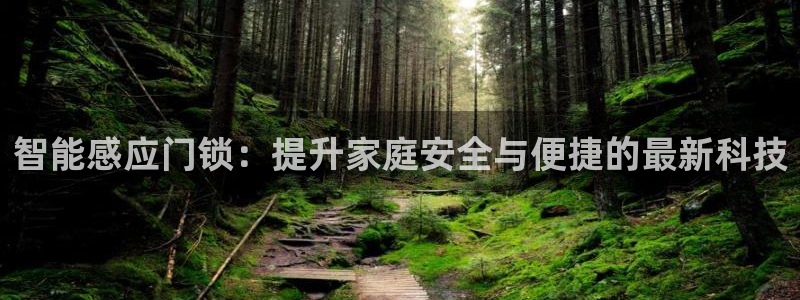 金年会入口：智能感应门锁：提升家庭安全与便捷的最新科技