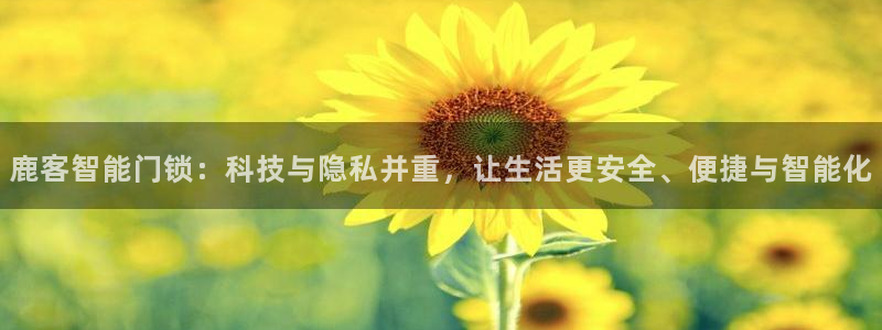 金年会电子游戏：鹿客智能门锁：科技与隐私并重，让生活更安全、