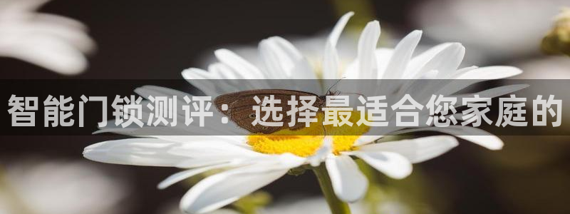 金年会电子：智能门锁测评：选择最适合您家庭的