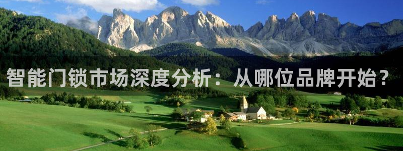 金年会官方网站入口：智能门锁市场深度分析：从哪位品牌开始？