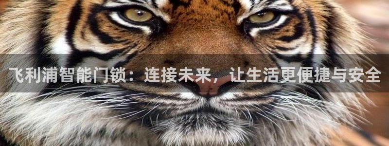 金年会现金网：飞利浦智能门锁：连接未来，让生活更便捷与安全