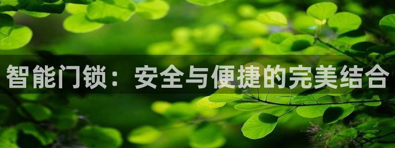 金年会6766澳门联合：智能门锁：安全与便捷的完美结合