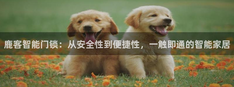 金年会黑平台：鹿客智能门锁：从安全性到便捷性，一触即通的智能