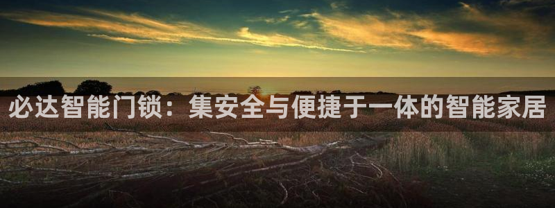 金年会注册官网：必达智能门锁：集安全与便捷于一体的智能家居