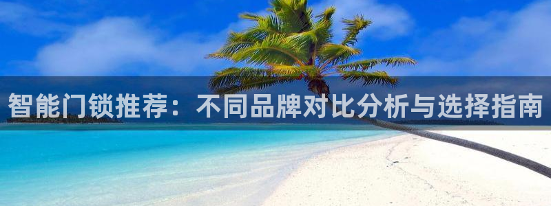 金年会手机app：智能门锁推荐：不同品牌对比分析与选择指南