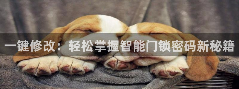 金年会官方网址登录路线：一键修改：轻松掌握智能门锁密码新秘籍