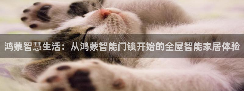 金年会安装：鸿蒙智慧生活：从鸿蒙智能门锁开始的全屋智能家居体