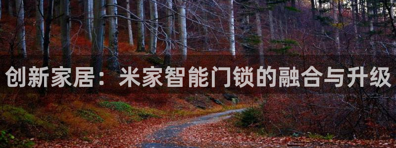 金年会VIP：创新家居：米家智能门锁的融合与升级