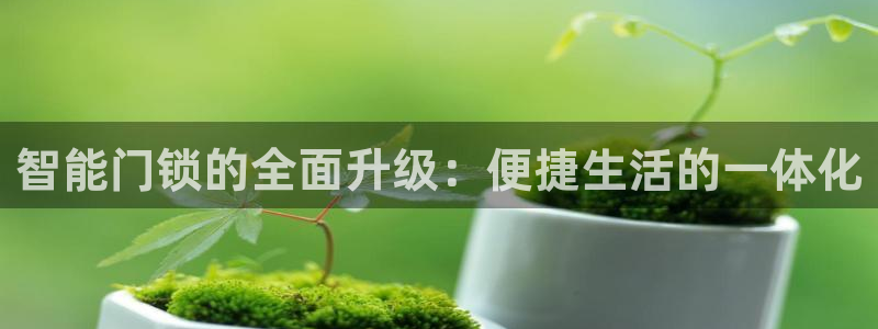 年会金句心得：智能门锁的全面升级：便捷生活的一体化