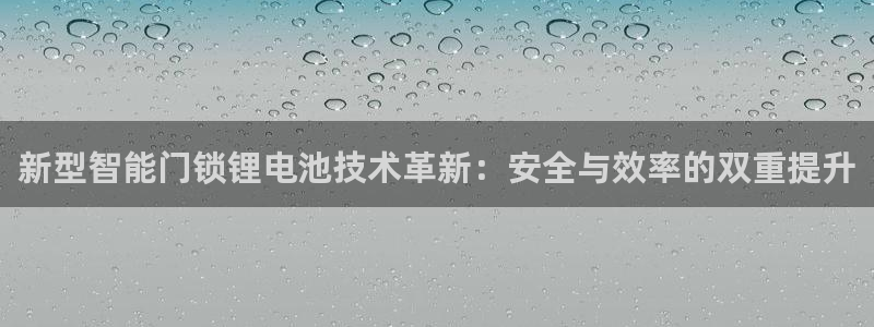金年会金字招牌下载：新型智能门锁锂电池技术革新：安全与效率的