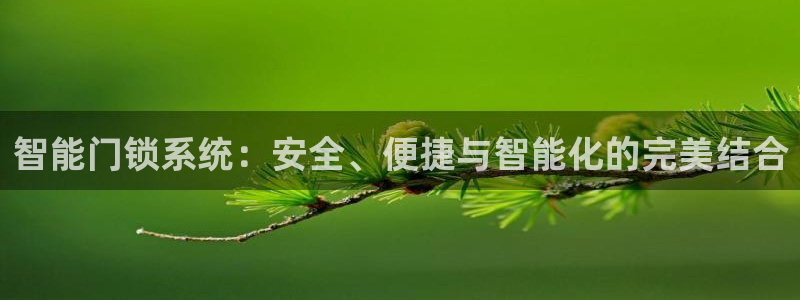 金年会体育和金年会：智能门锁系统：安全、便捷与智能化的完美结