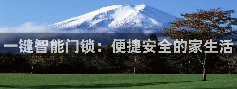 金年会官方体育登录入口：一键智能门锁：便捷安全的家生活