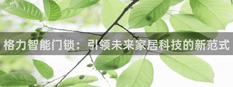 金年会入口网站：格力智能门锁：引领未来家居科技的新范式