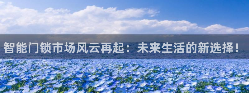 金年会18 28：智能门锁市场风云再起：未来生活的新选择！