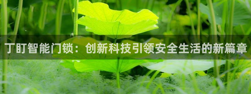 金年会菲律宾：丁盯智能门锁：创新科技引领安全生活的新篇章