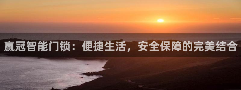 金年会官方在线登录：赢冠智能门锁：便捷生活，安全保障的完美结