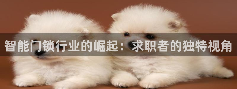 金年会体育官方下载：智能门锁行业的崛起：求职者的独特视角