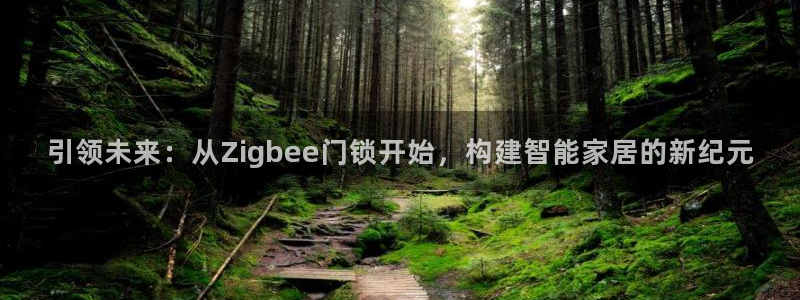 金年会注册官网：引领未来：从Zigbee门锁开始，构建智能家