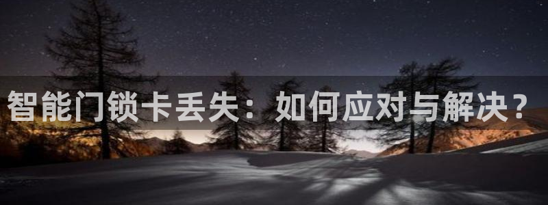 金顶年会：智能门锁卡丢失：如何应对与解决？