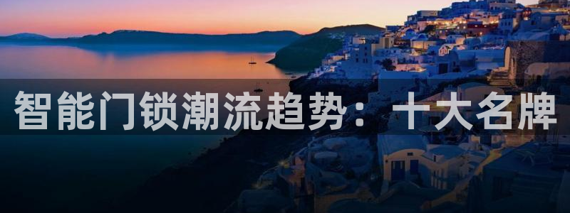 金年会是啥：智能门锁潮流趋势：十大名牌