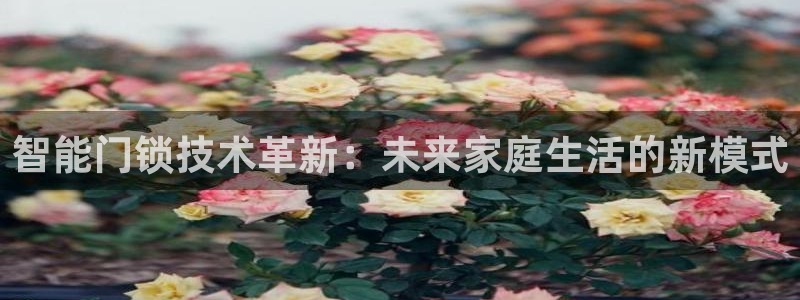 金年会VIP：智能门锁技术革新：未来家庭生活的新模式