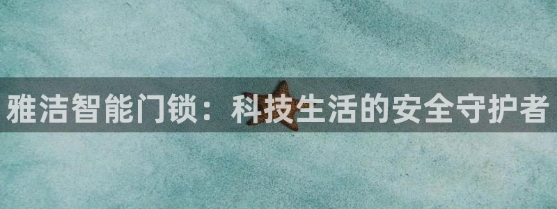 金立年会：雅洁智能门锁：科技生活的安全守护者