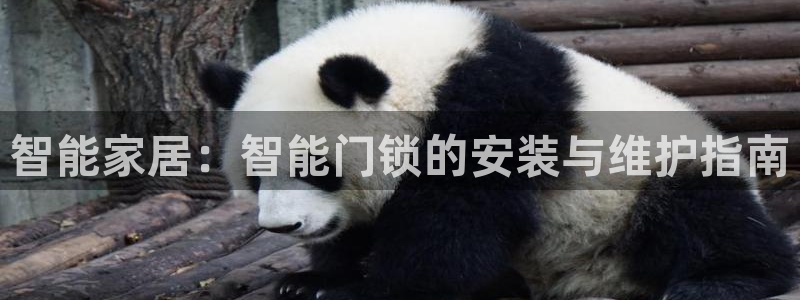 金年会取款：智能家居：智能门锁的安装与维护指南
